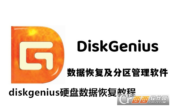 DiskGenius截图1