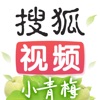搜狐视频 v10.2.63安卓版