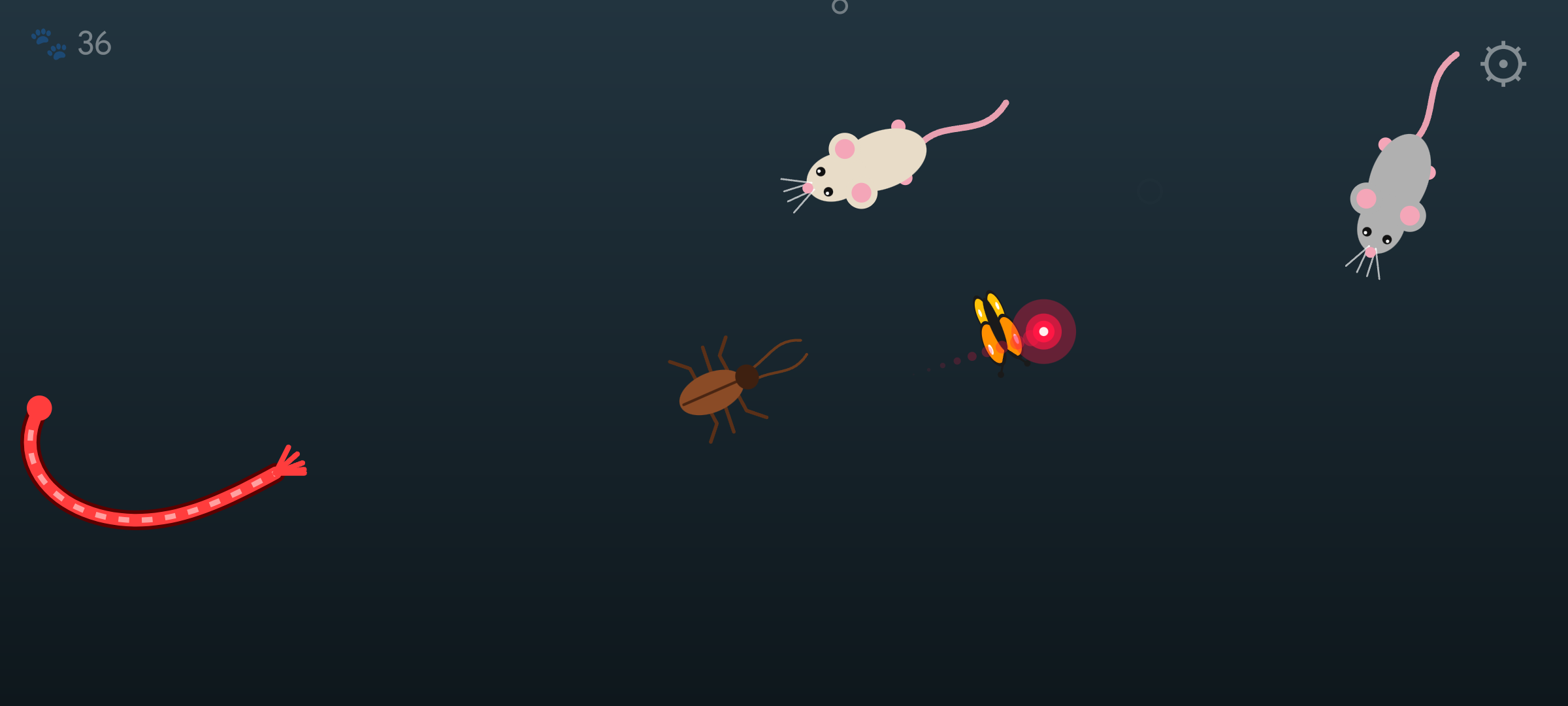 Cat Hunt宠物追逐 v1.5安卓版截图