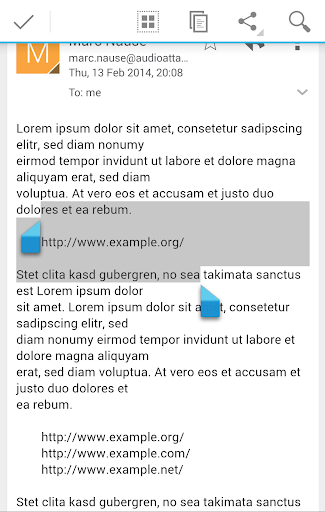 Easy Open Link链接打开器 v1.5.11安卓版截图