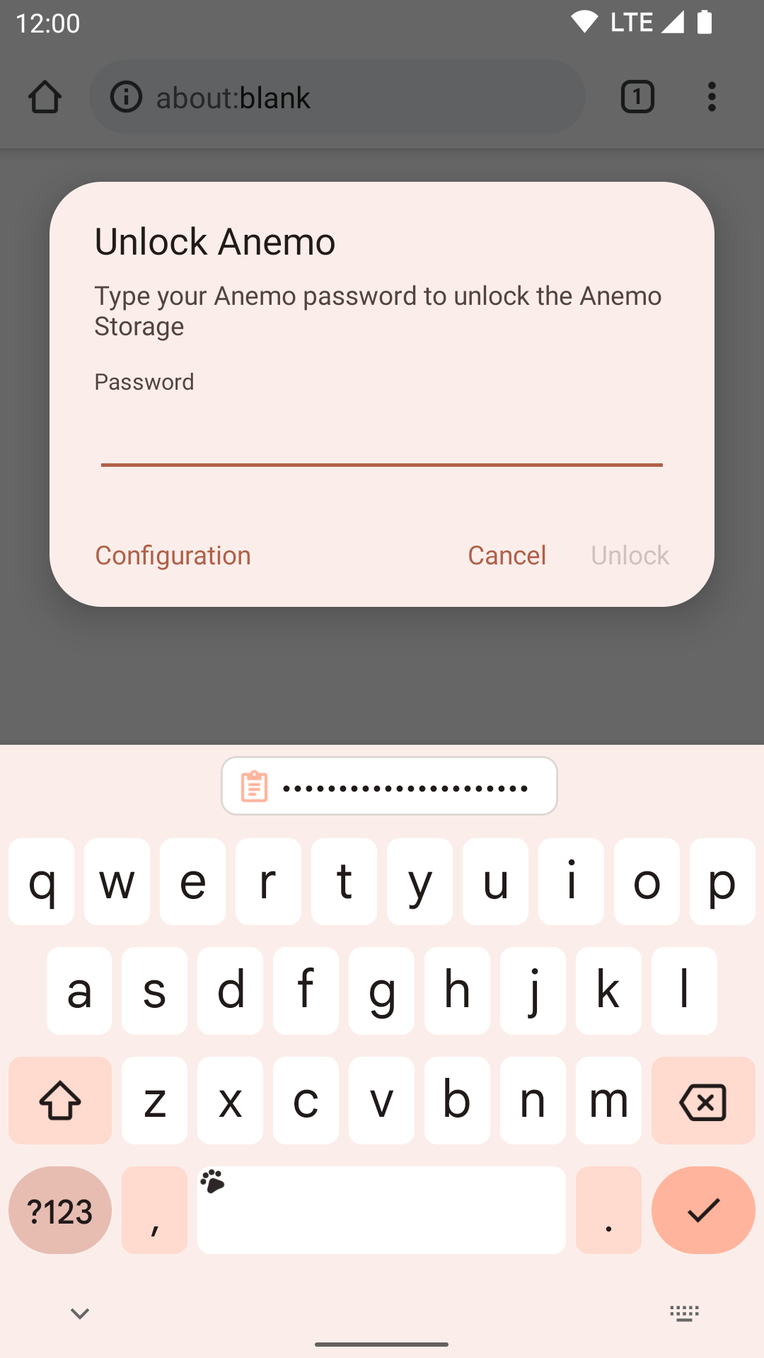 Anemo私密文件真实界面截图2
