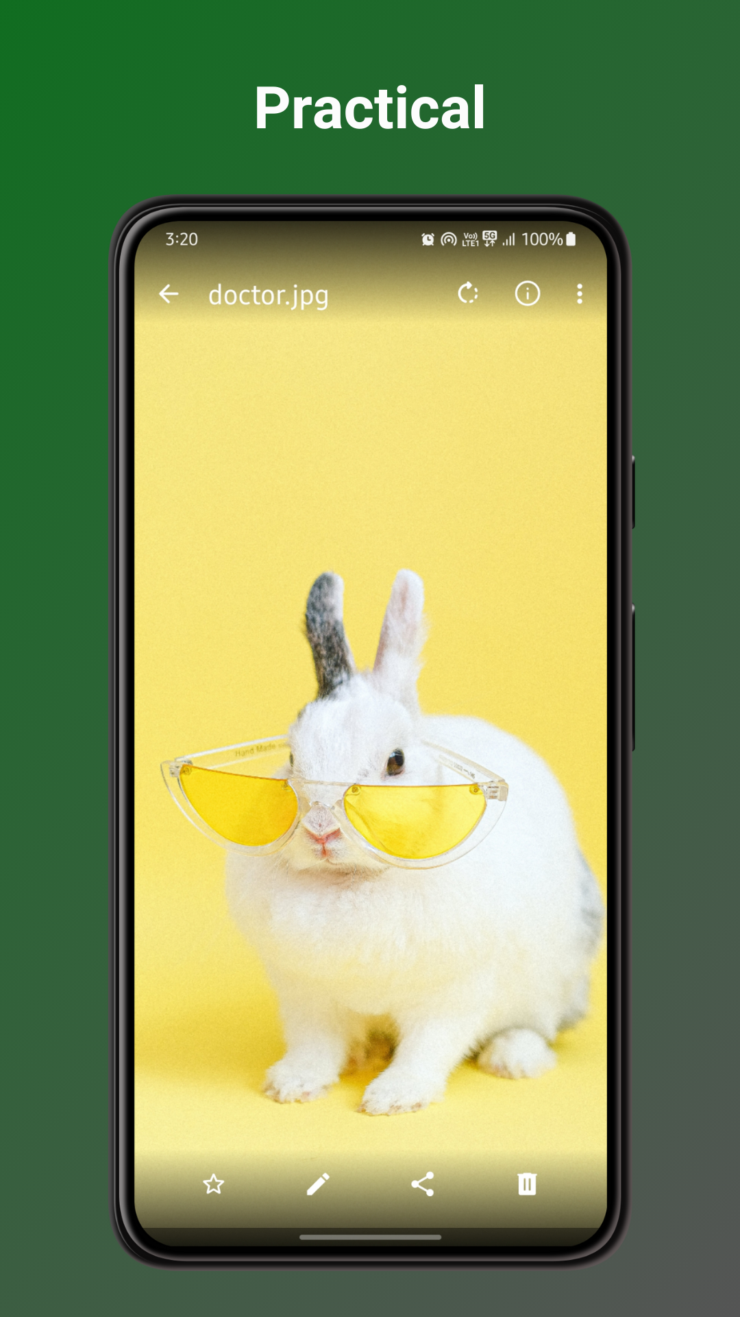 Fossify Gallery本地相册 v1.14.0安卓版截图